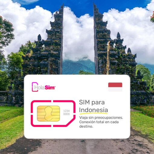 Chip o SIM Card Indonesia